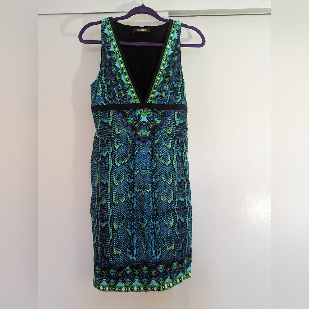 Roberto Cavalli Dress